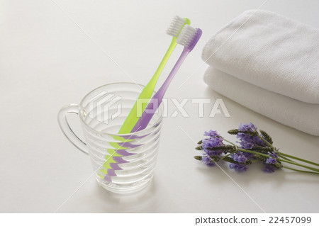 牙刷，毛巾和薰衣草 22457099