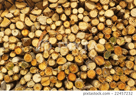 natural wooden logs natural wooden logs 22457232