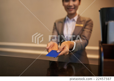 Electronic key 22457387