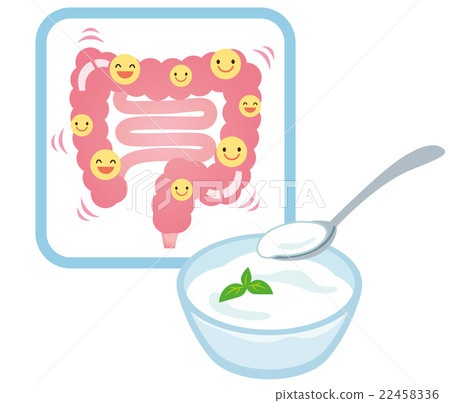 Healthy intestinal lactobacillus yogurt 22458336