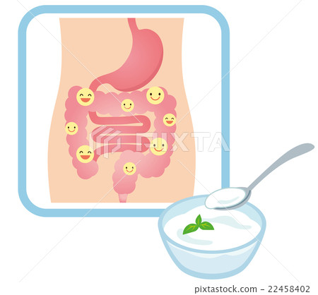 Healthy intestinal lactobacillus yogurt 22458402