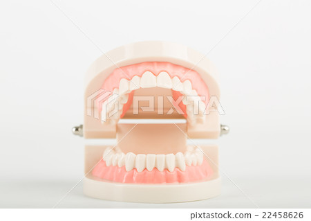 .Dental implant model .Dental implant model 22458626