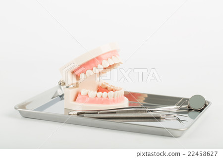 .Dental implant model .Dental implant model 22458627