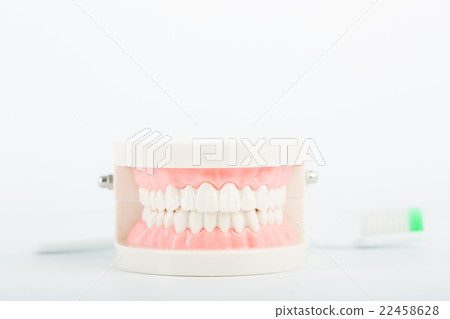 .Dental implant model .Dental implant model 22458628