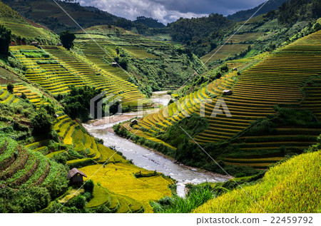 Rice fields on terraced of Mu Cang Chai District, YenBai province, Northwest Vietnam 22459792