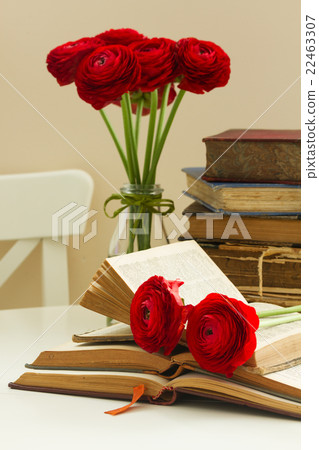 Old books with red flower 22463307