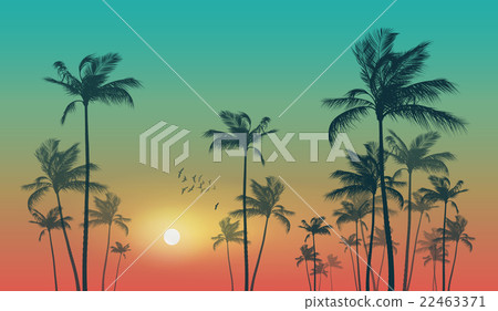 Exotic tropical palm trees - Stock Illustration [22463371] - PIXTA