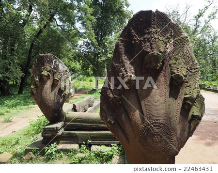 吳哥窟暹粒柬埔寨 22463431
