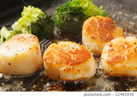烤扇貝配黃油醬 烤扇貝配黃油醬 22463930