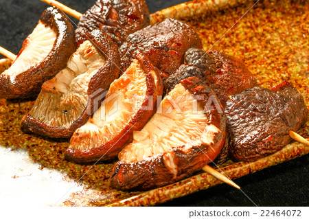 Grilled chicken 22464072