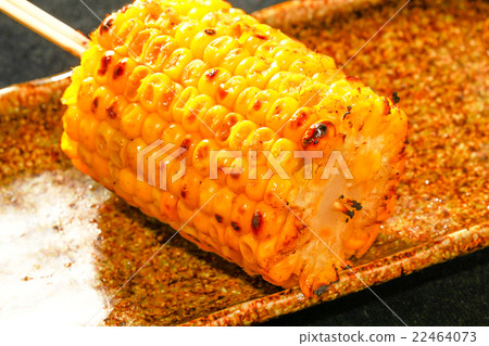 Grilled chicken 22464073