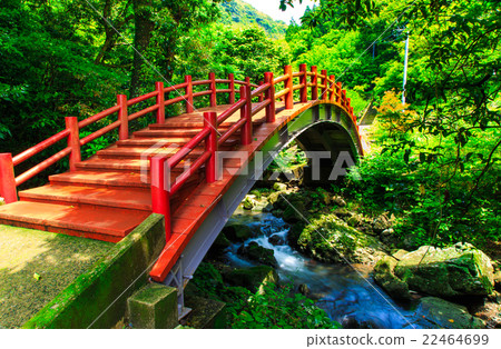 Red bridge over the River Dragon Falls Park of the fresh green Red bridge over the River Dragon Falls Park of the fresh green 22464699