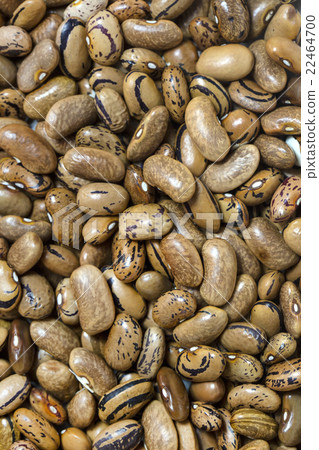 background bean seeds background bean seeds 22464700