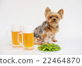 Beer and yorkies 22464870