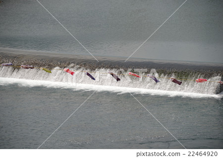 四萬十川的迷你鯉魚旗 22464920