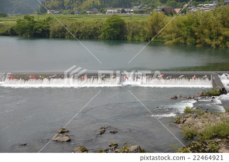 四萬十川的迷你鯉魚旗 22464921