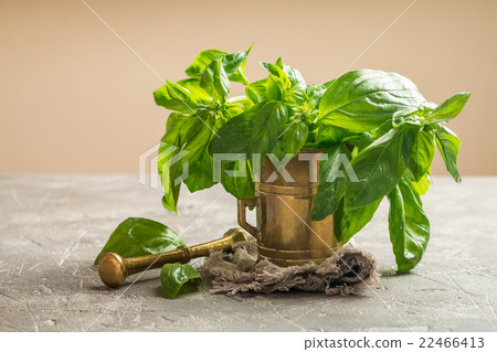 Fresh green basil in old metal mortar 22466413