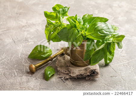 Fresh green basil in old metal mortar 22466417