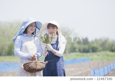 阿斯帕拉農民 22467160