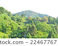 京都風景 22467767