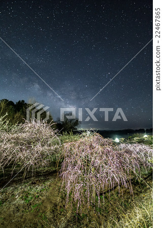 Starry Sky of Tsukigase Umebayashi 22467865