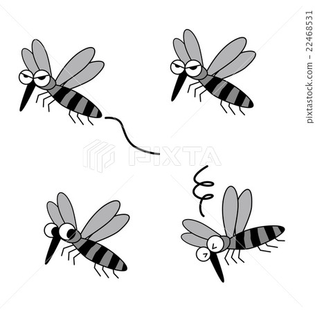 蚊子的插圖 蚊子的插圖 22468531