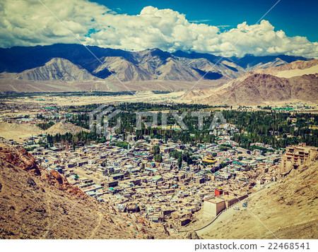 Aerial view of Leh. Ladakh, India 22468541