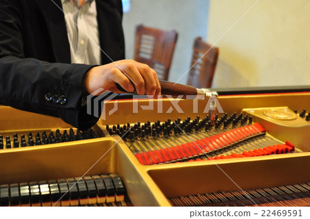 大鋼琴調音（僅手動） 22469591