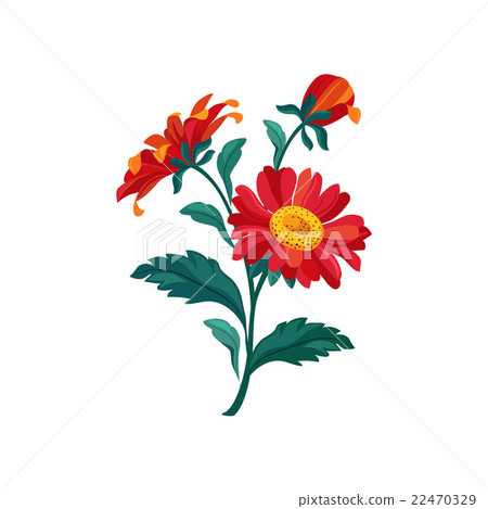 Treasure Flower Hand Drawn Realistic Illustration Treasure Flower Hand Drawn Realistic Illustration 22470329