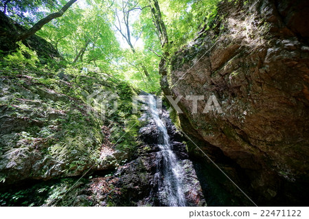 Midoriyama Ayahiro的瀑布以新綠色 22471122
