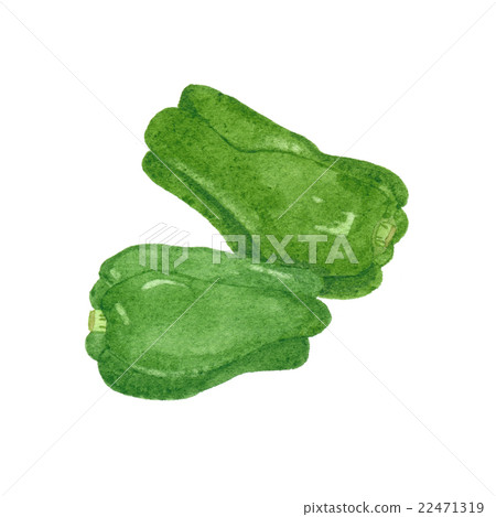 青椒 22471319