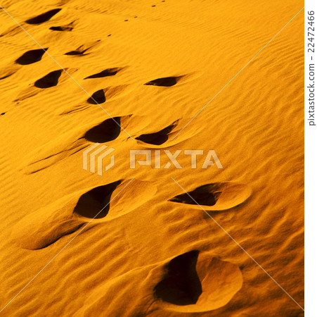 the brown sand dune in the sahara morocco desert the brown sand dune in the sahara morocco desert 22472466