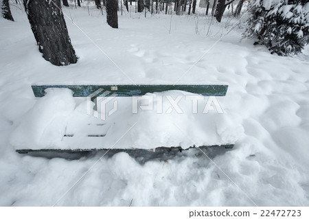 Beautiful winter forest 22472723