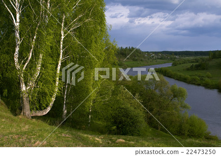 spring-and- summer landscape 22473250