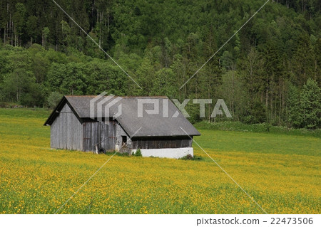 Spring scene in Switzerland Spring scene in Switzerland 22473506