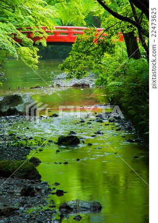 靜岡縣，森町，小國神社的新綠和小溪 22473625