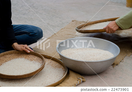 woman competitive winnowing rice by using bamboo b woman competitive winnowing rice by using bamboo b 22473901
