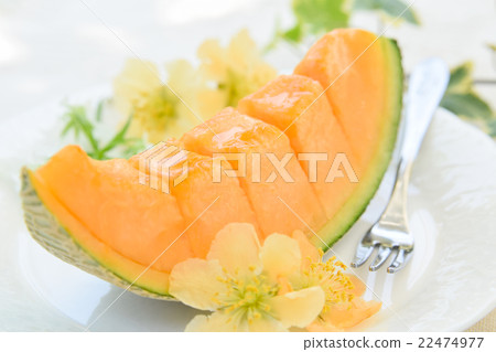 面膜甜瓜 22474977