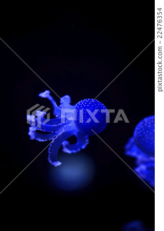 Glowing Blue Jellyfishes. 22476354