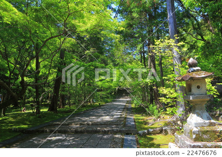 Fushigi-san Bamboo temple of fresh green Fushigi-san Bamboo temple of fresh green 22476676