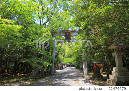 Wakamiya Hachimangu Shrine (Kochi) 22476679