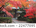 Autumn leaves 22477095