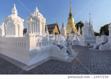Wat Suan Dok golden pagoda. Chiang Mai, Thailand 22477230