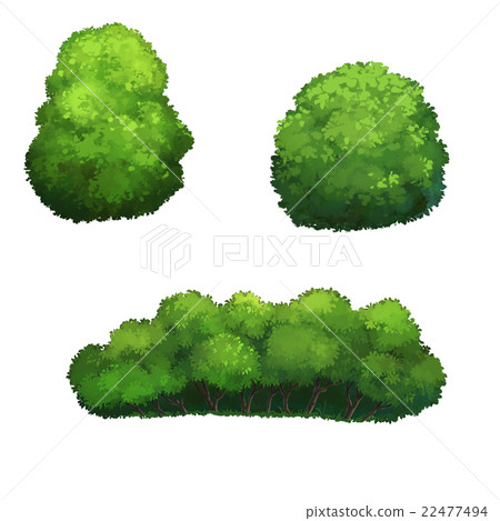 illustration of a bush - Stock Illustration [22477494] - PIXTA