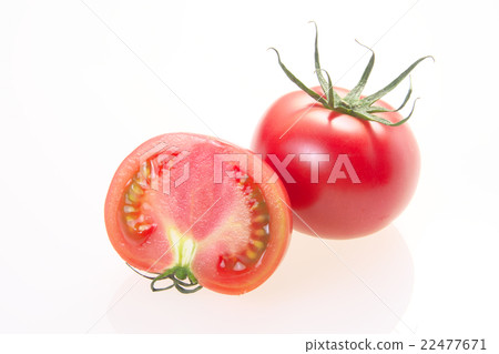 蕃茄 22477671