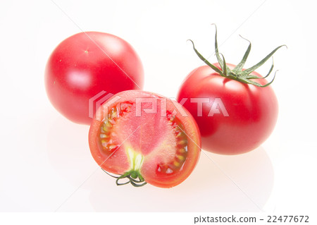 蕃茄 22477672