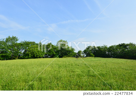 Ushikubo公園 Ushikubo公園 22477834