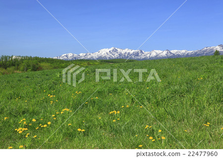 Hokkaido Furano City grassland and remaining snow Mt. Ashibetsu Hokkaido Furano City grassland and remaining snow Mt. Ashibetsu 22477960