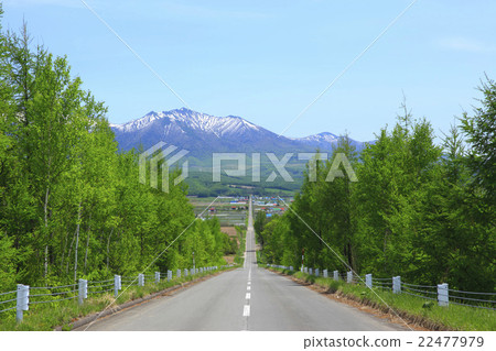 Kamifurano-cho, Hokkaido Kazutoji and mountains 22477979