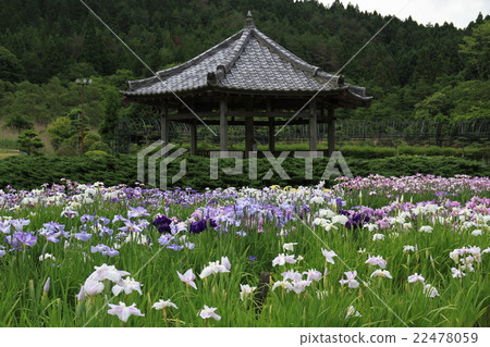 Nagasawaji 2 22478059